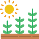Culturi agricole